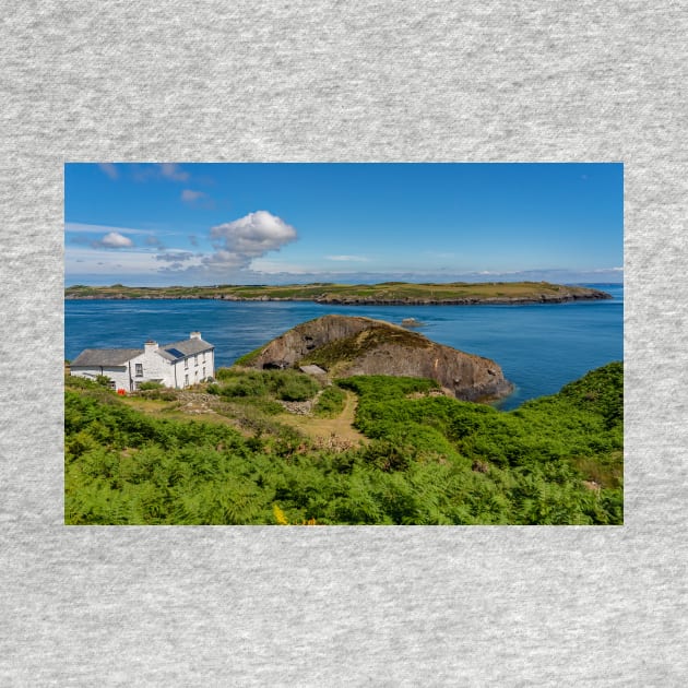 A view towards the white farmhouse on RSPB Ramsey Island, Pembrokeshire by yackers1